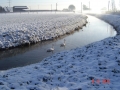 100-Winterbild