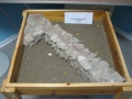 329-AusstellungNov.2011171