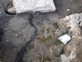 601-webP1050608