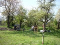 808-webP1050201