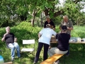 858-webP1050294