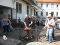 871-IMG_4216