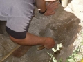699-webP1050474