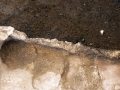 703-webP1050469