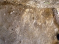 705-webP1050467
