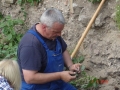 239-2012MaiJuniAKWersau010