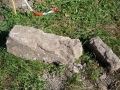 129-webP1060245