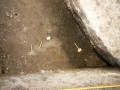 437-webP1050814