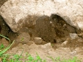 439-webP1050810