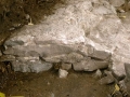 444-webP1050805