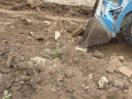 461-webP1050801