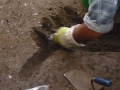 231-webP1060075