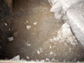 242-webP1060057