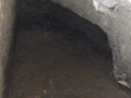 244-webP1060055