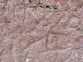 63-webP1000914