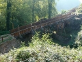 81-webP1000893