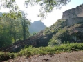 83-webP1000891