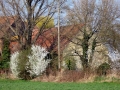 888-webP1050149