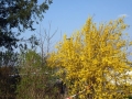 894-webP1050138