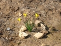 895-webP1050135