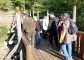 367-webP1000915