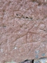 368-webP1000914