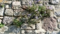 371-webP1000911