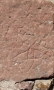 372-webP1000910