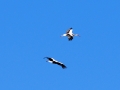 211-DSC_1398001
