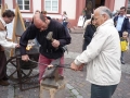 650-webP1050568